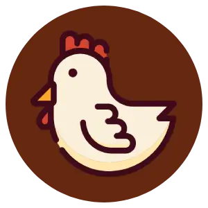ayam