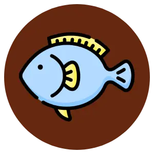 Ikan