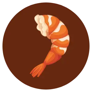 Udang